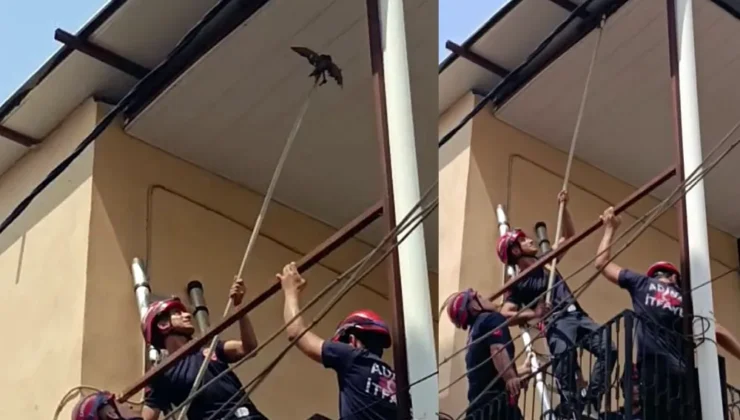 Yüreğir’de Tavana Sıkışan Güvercin İtfaiye Ekiplerince Kurtarıldı